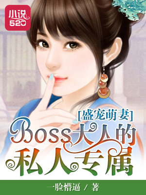 ʢޣBOSS˵˽ר